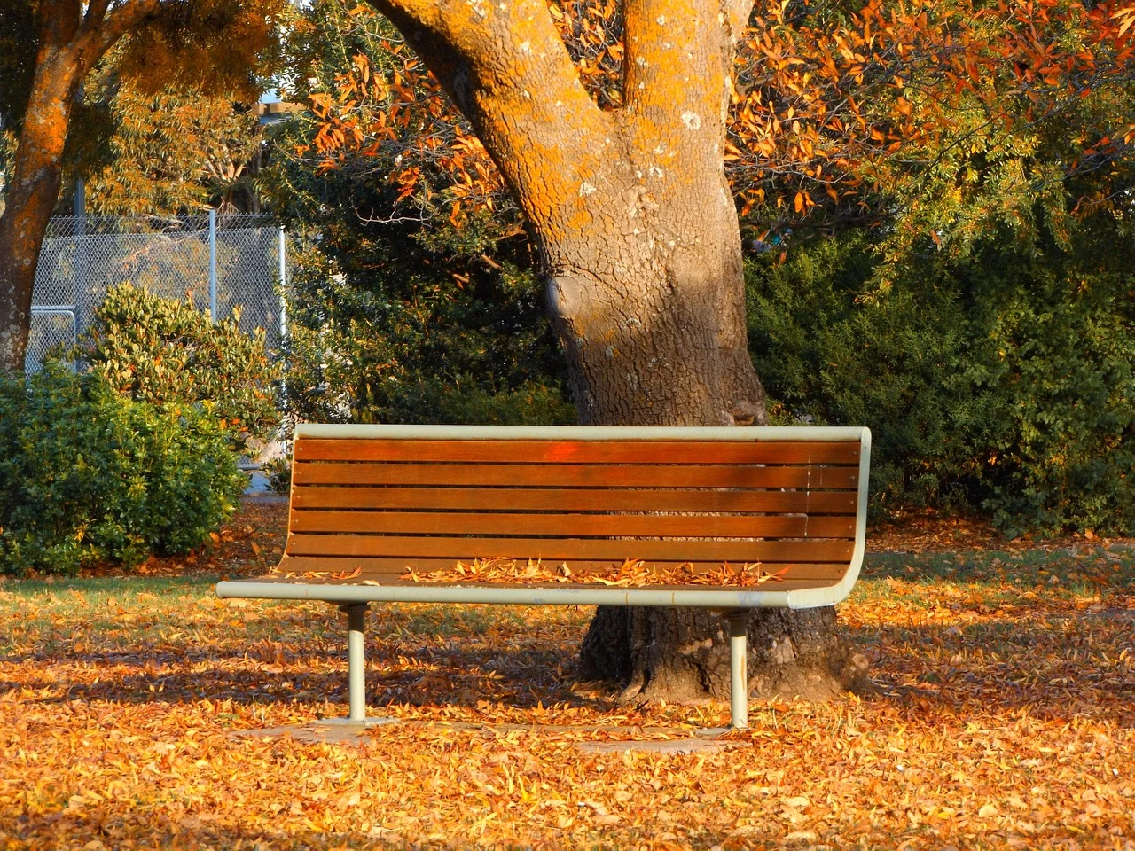 Colourful autumn trees in Bright, Victoria, Australia